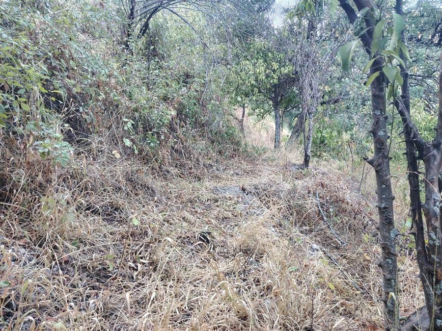 Grond te koop in Benarraba - € 70.000 (Ref: 9396500)