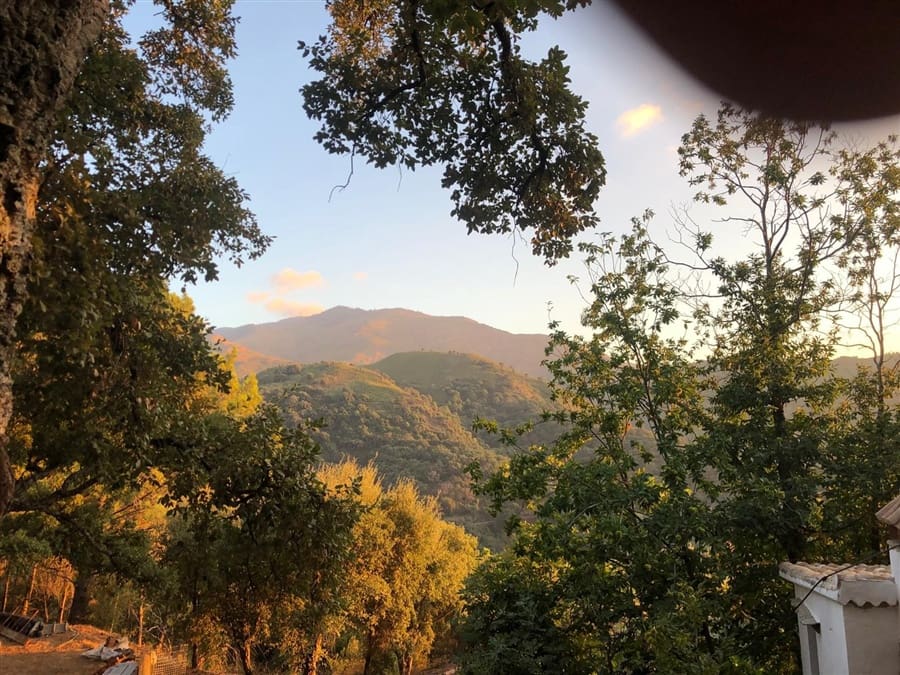 1 soverom Finca/Herregård til salgs i Genalguacil - € 145 000 (Ref: 9401015)