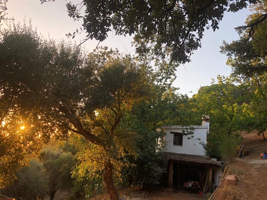 1 soverom Finca/Herregård til salgs i Genalguacil - € 145 000 (Ref: 9401015)