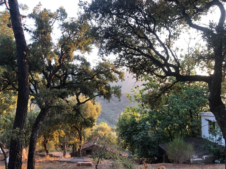 1 soverom Finca/Herregård til salgs i Genalguacil - € 145 000 (Ref: 9401015)