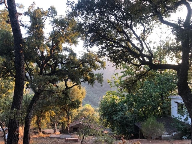 1 soverom Finca/Herregård til salgs i Genalguacil - € 145 000 (Ref: 9401015)