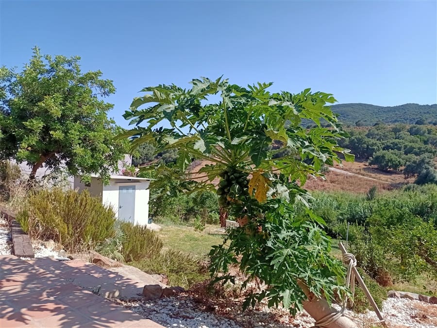 Houten huis te koop in Estepona - € 215.000 (Ref: 9414886)