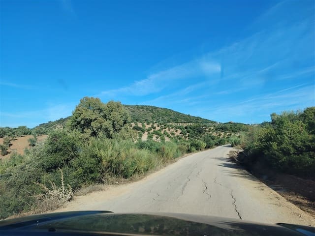 3 soveværelse Finca/Landehus til salg i Puerto Serrano med swimmingpool - € 900.000 (Ref: 9432955)