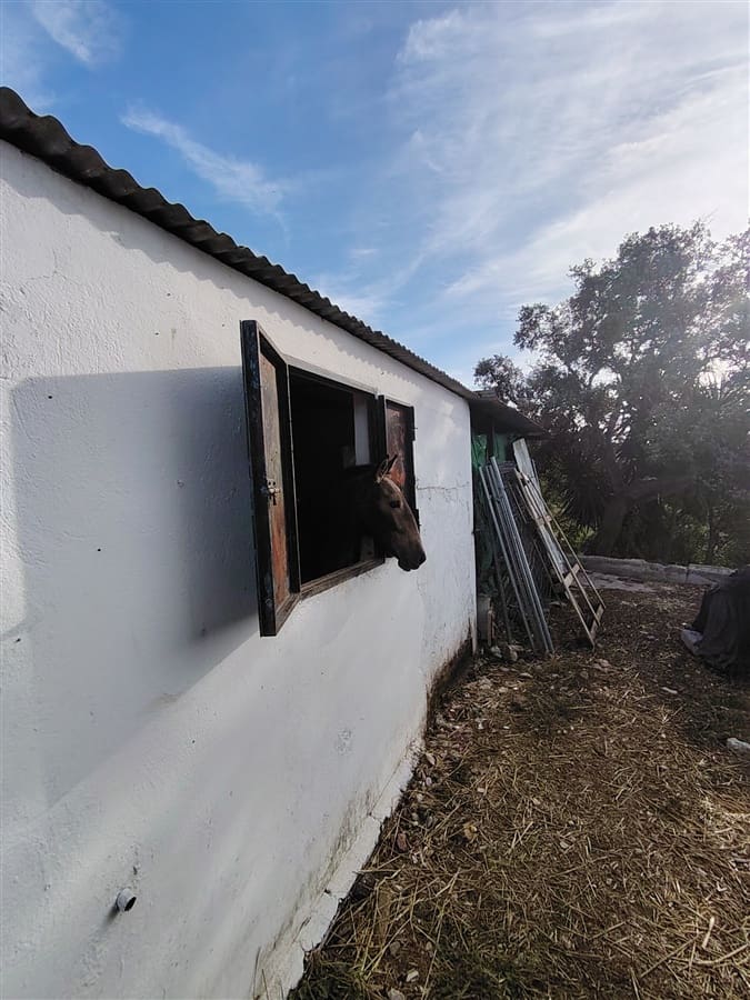 3 sovrum Finca/Hus på landet till salu i Puerto Serrano med pool - 900 000 € (Ref: 9432955)