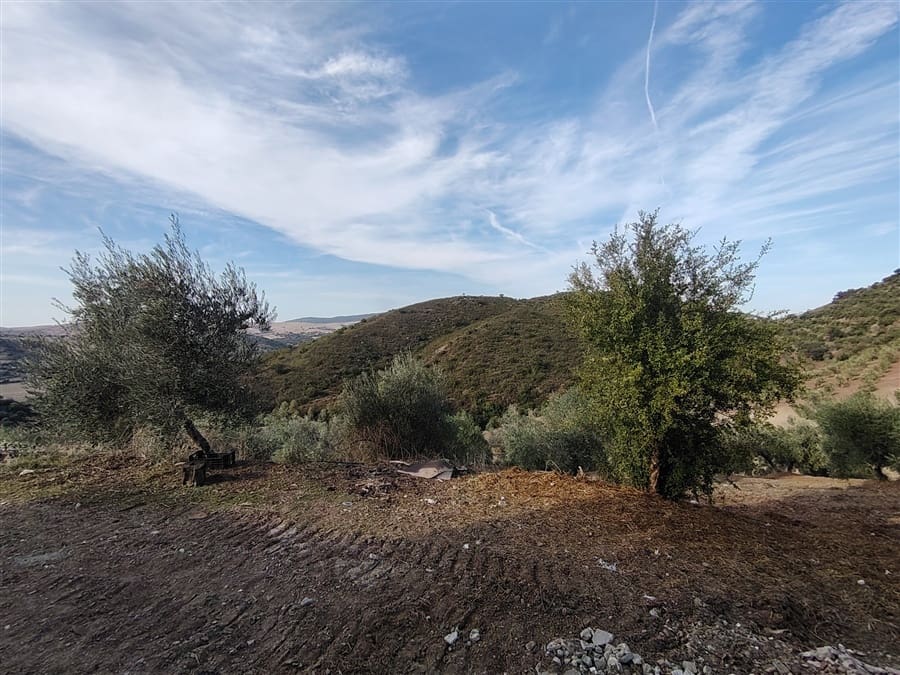 3 sovrum Finca/Hus på landet till salu i Puerto Serrano med pool - 900 000 € (Ref: 9432955)