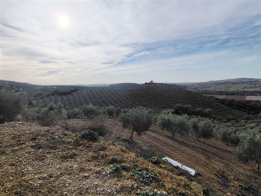 3 sovrum Finca/Hus på landet till salu i Puerto Serrano med pool - 900 000 € (Ref: 9432955)