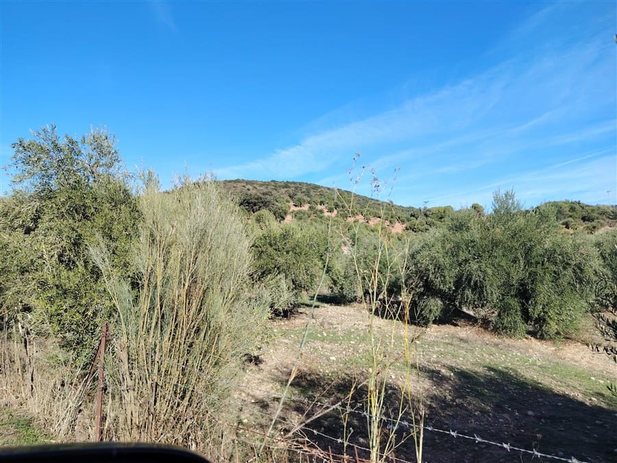 3 sovrum Finca/Hus på landet till salu i Puerto Serrano med pool - 900 000 € (Ref: 9432955)