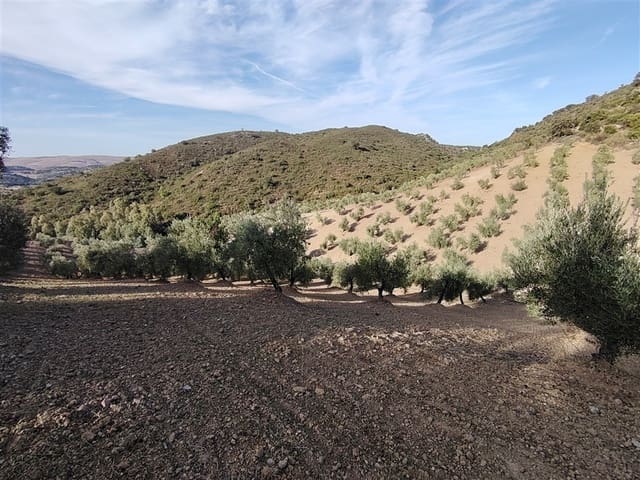 3 soveværelse Finca/Landehus til salg i Puerto Serrano med swimmingpool - € 900.000 (Ref: 9432955)