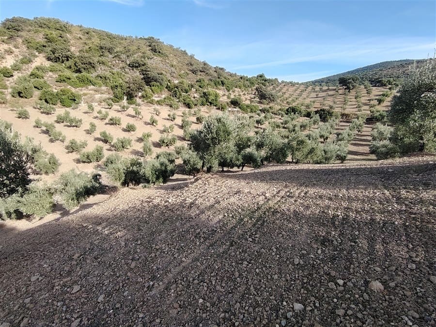 3 sovrum Finca/Hus på landet till salu i Puerto Serrano med pool - 900 000 € (Ref: 9432955)