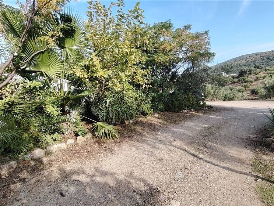 3 sovrum Finca/Hus på landet till salu i Puerto Serrano med pool - 900 000 € (Ref: 9432955)