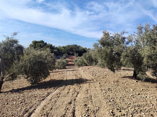 3 soveværelse Finca/Landehus til salg i Puerto Serrano med swimmingpool - € 900.000 (Ref: 9432955)