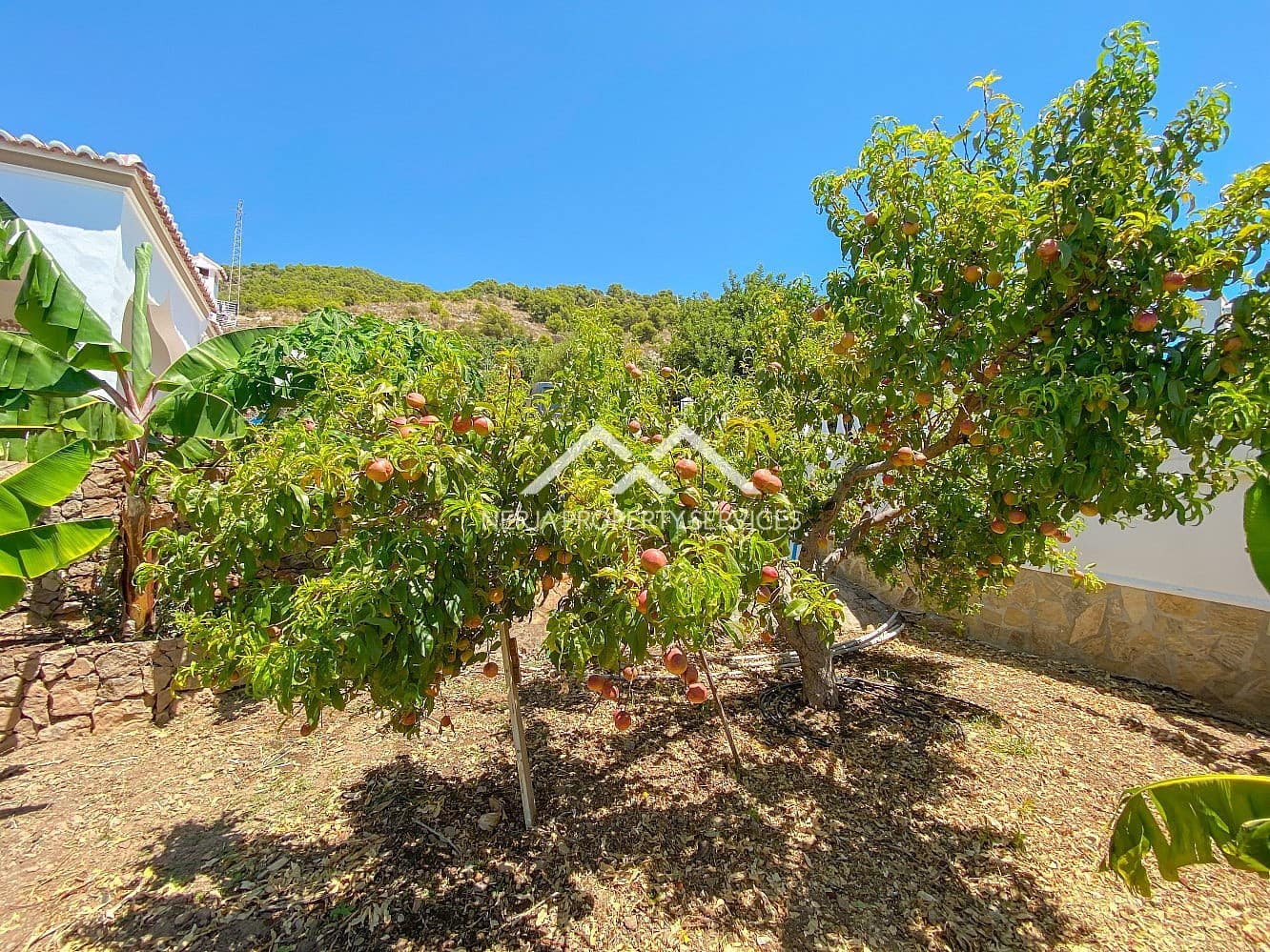 2 slaapkamer Villa te huur in Frigiliana met zwembad garage - € 1.800 (Ref: 10004470)