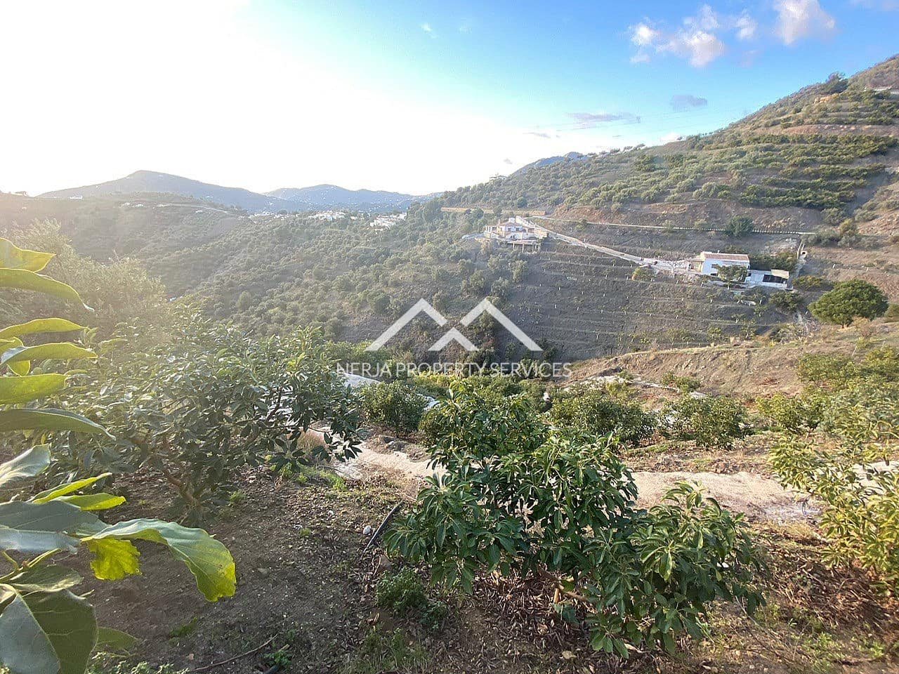 Undeveloped Land for sale in Frigiliana - € 90,000 (Ref: 10007741)