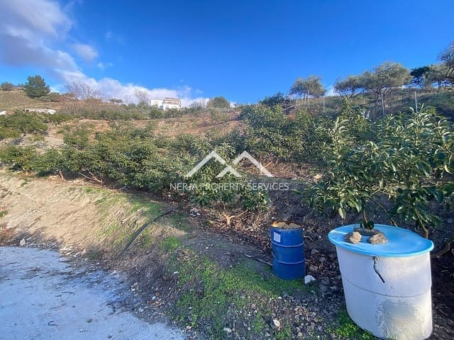 Undeveloped Land for sale in Frigiliana - € 90,000 (Ref: 10007741)
