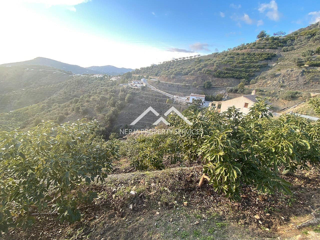Undeveloped Land for sale in Frigiliana - € 90,000 (Ref: 10007741)