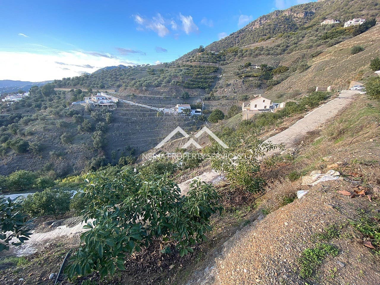 Undeveloped Land for sale in Frigiliana - € 90,000 (Ref: 10007741)