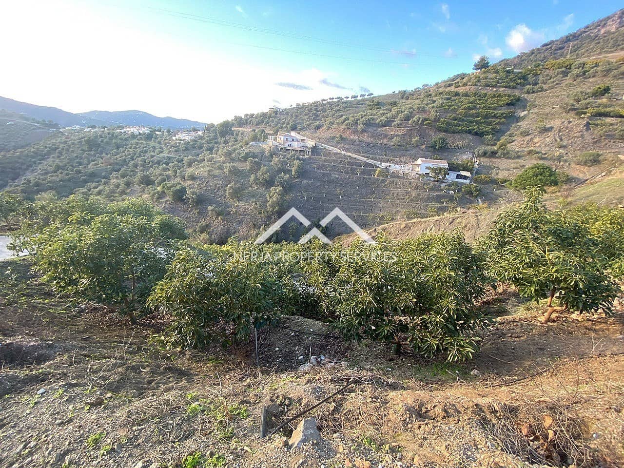 Undeveloped Land for sale in Frigiliana - € 90,000 (Ref: 10007741)