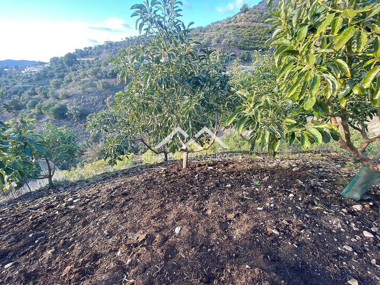 Undeveloped Land for sale in Frigiliana - € 90,000 (Ref: 10007741)