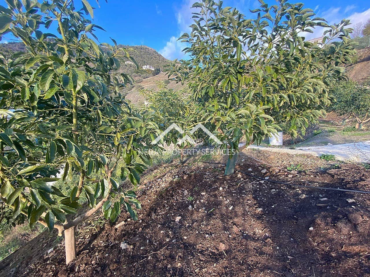 Undeveloped Land for sale in Frigiliana - € 90,000 (Ref: 10007741)