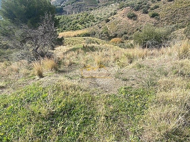 Rakentamaton maa myytävänä paikassa Frigiliana - 95 000 € (Ref: 5976681)