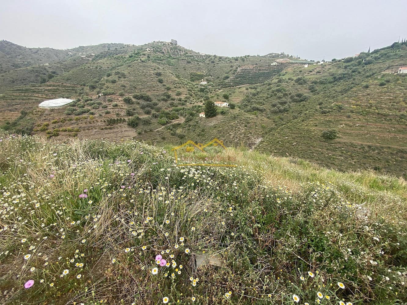 Finca/Maison de Campagne à vendre à Torrox - 189 000 € (Ref: 6010809)