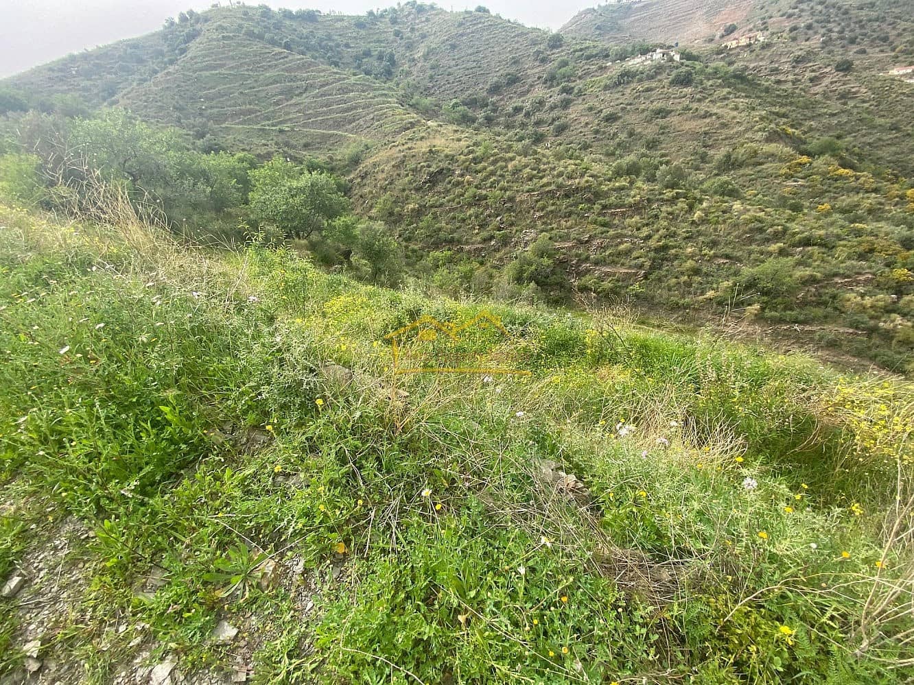 Finca/Maison de Campagne à vendre à Torrox - 189 000 € (Ref: 6010809)