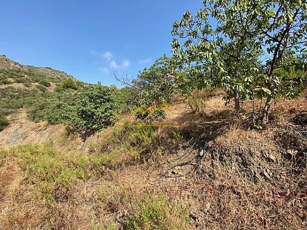 3 soverom Hus til salgs i Frigiliana - € 360 000 (Ref: 6448723)