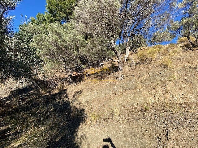 Grunde uden byggetilladelser til salg i Frigiliana - € 185.000 (Ref: 6639704)