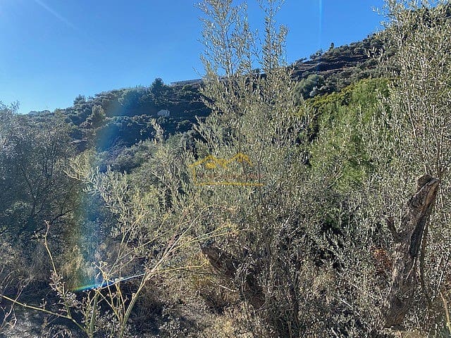 Grunde uden byggetilladelser til salg i Frigiliana - € 185.000 (Ref: 6639704)