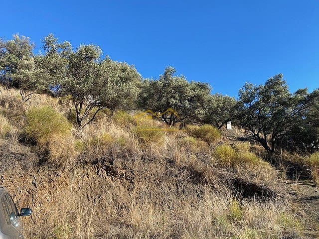 Grunde uden byggetilladelser til salg i Frigiliana - € 185.000 (Ref: 6639704)