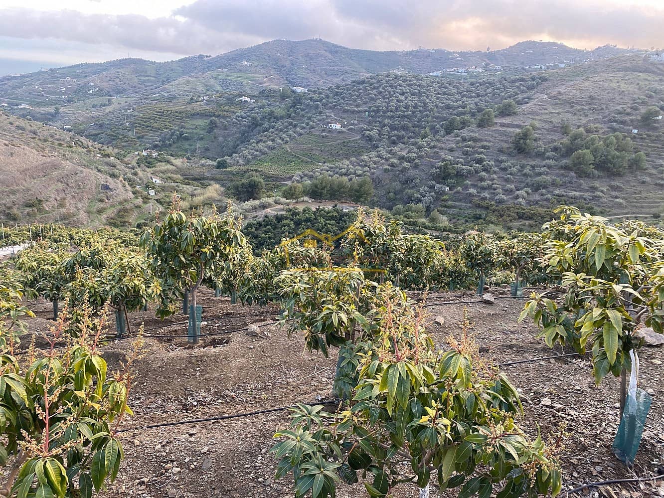 Finka/Dom wiejski na sprzedaż w Frigiliana z garażem - 180 000 € (Ref: 6707763)