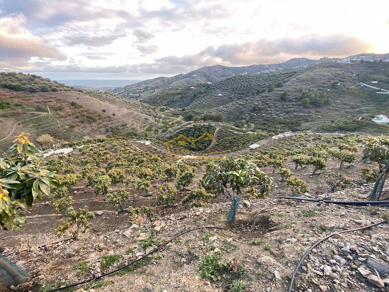 Finka/Dom wiejski na sprzedaż w Frigiliana z garażem - 180 000 € (Ref: 6707763)