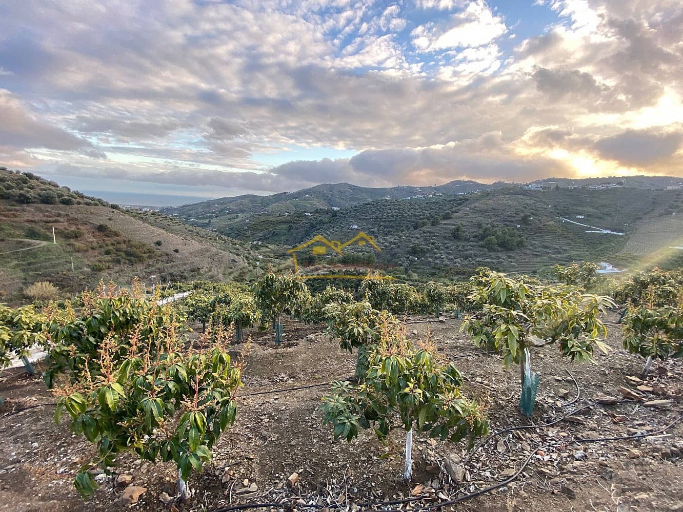 Finka/Dom wiejski na sprzedaż w Frigiliana z garażem - 180 000 € (Ref: 6707763)