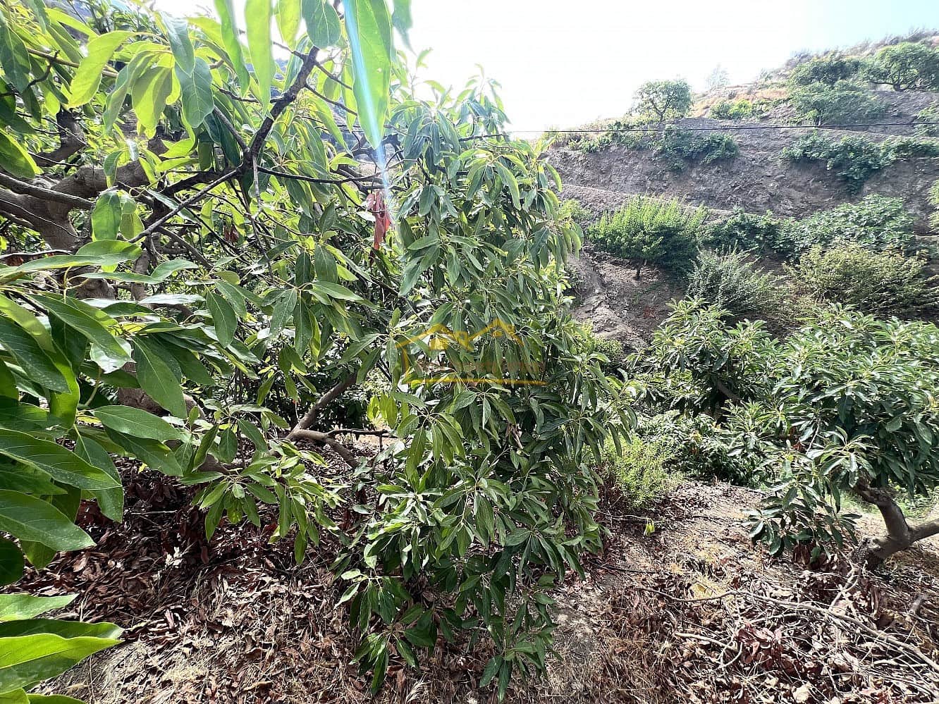 2 soverom Hus til salgs i Frigiliana med garasje - € 199 000 (Ref: 7035734)