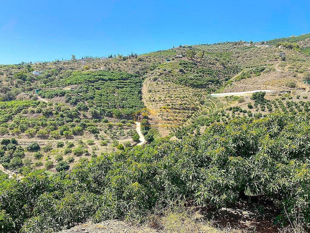 Grond te koop in Torrox - € 338.000 (Ref: 7754130)