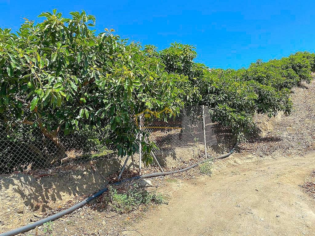 Grond te koop in Torrox - € 338.000 (Ref: 7754130)