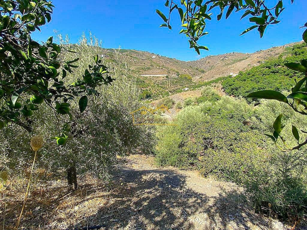 Grond te koop in Torrox - € 338.000 (Ref: 7754130)