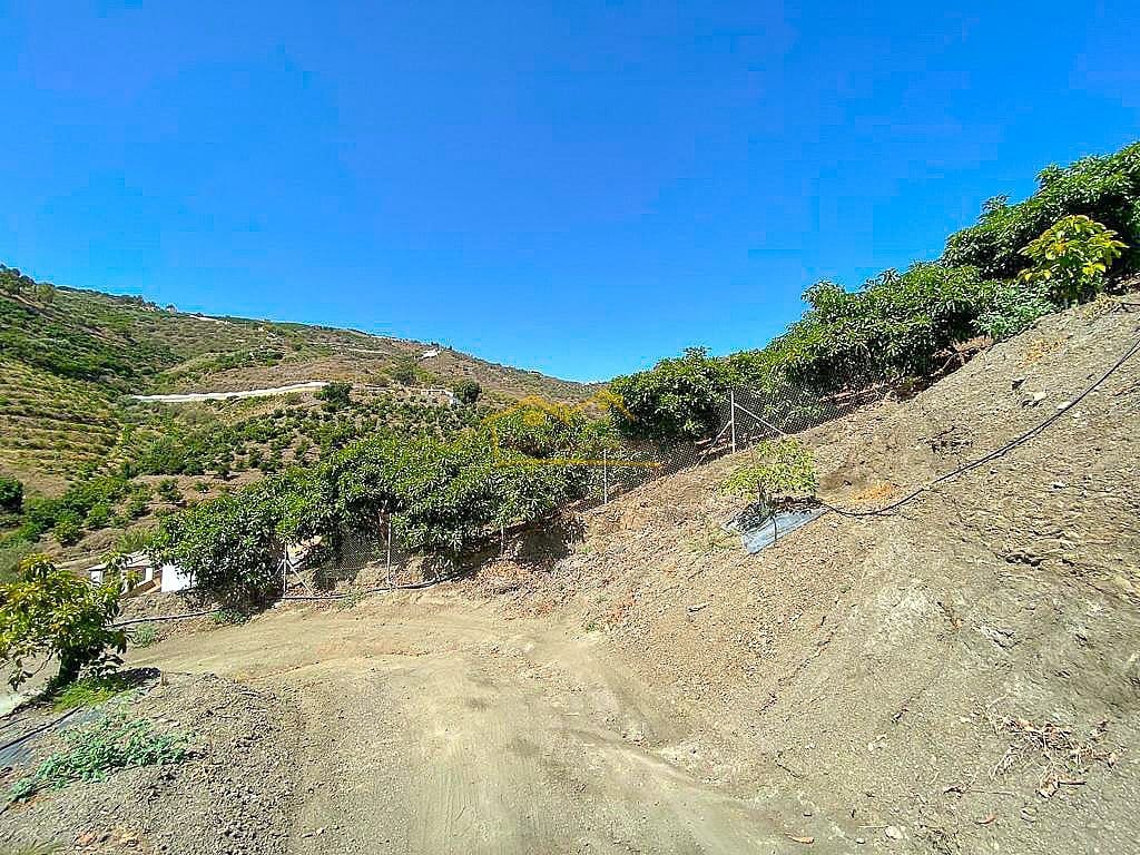 Grond te koop in Torrox - € 338.000 (Ref: 7754130)