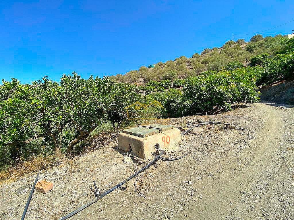 Grond te koop in Torrox - € 338.000 (Ref: 7754130)