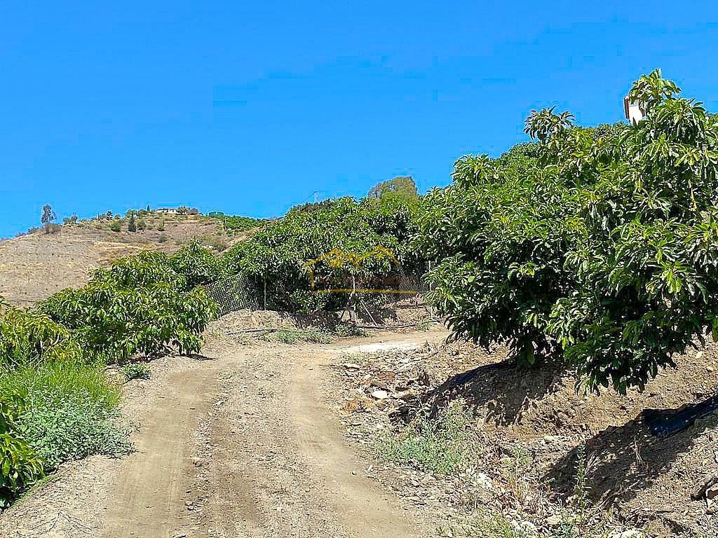 Grond te koop in Torrox - € 338.000 (Ref: 7754130)