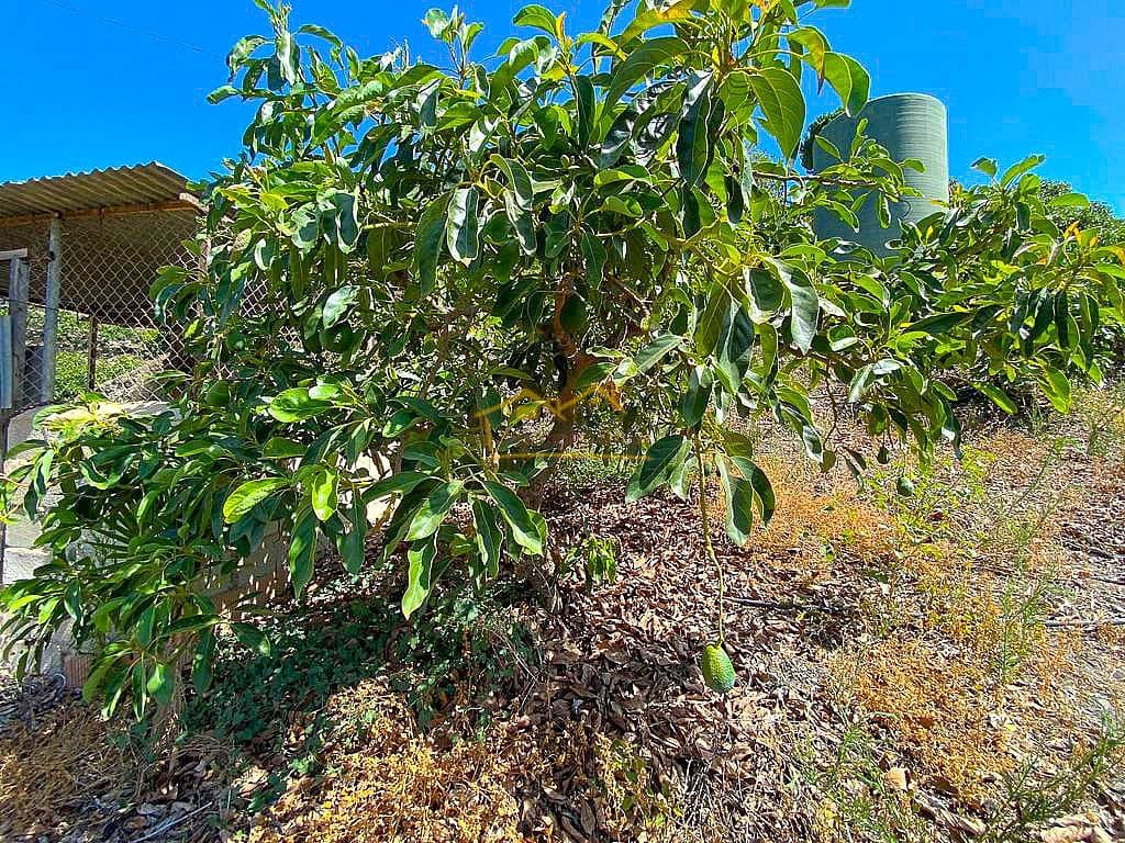 Grond te koop in Torrox - € 338.000 (Ref: 7754130)