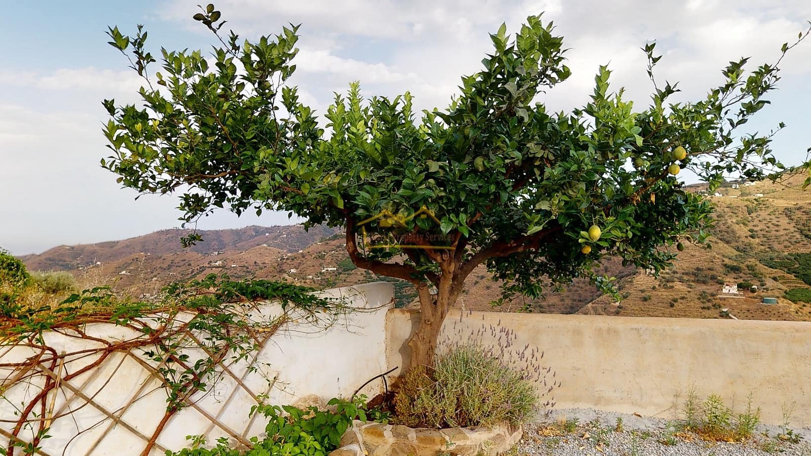 3 sovrum Villa till salu i Competa med pool - 362 000 € (Ref: 7860564)