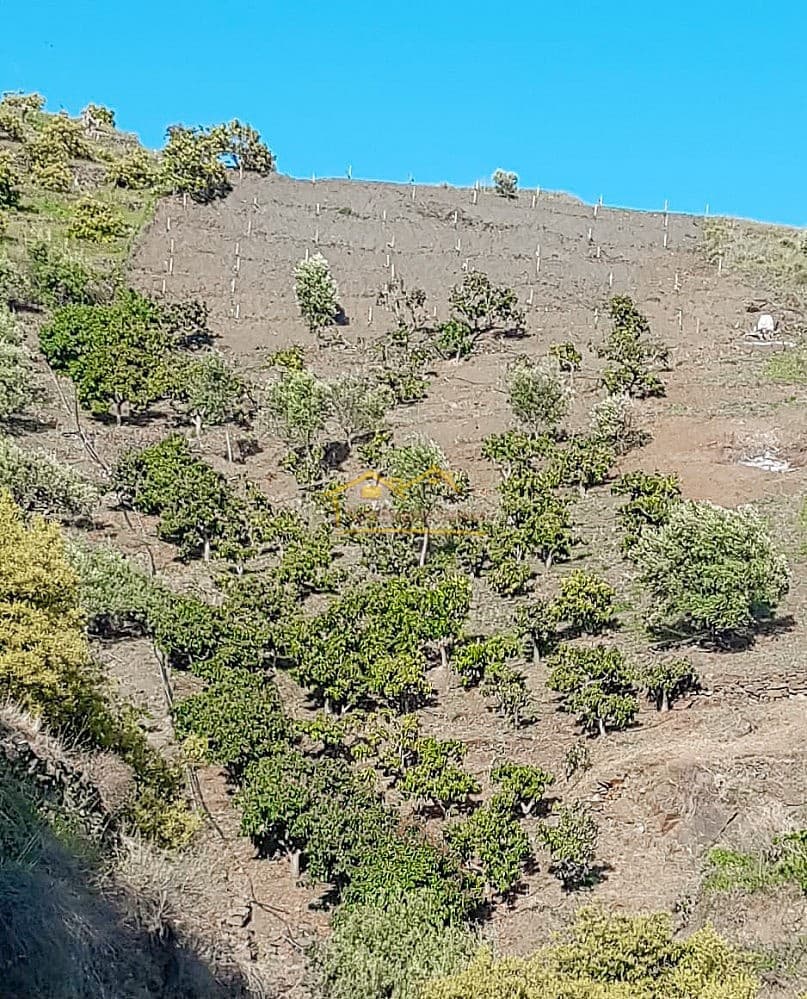 Grunde uden byggetilladelser til salg i Torrox - € 45.000 (Ref: 8183134)