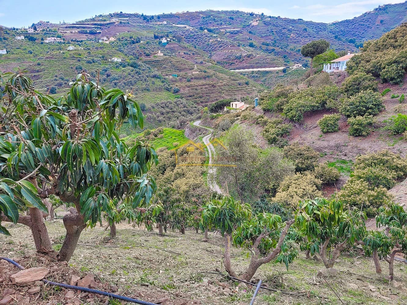 Grunde uden byggetilladelser til salg i Torrox - € 45.000 (Ref: 8183134)