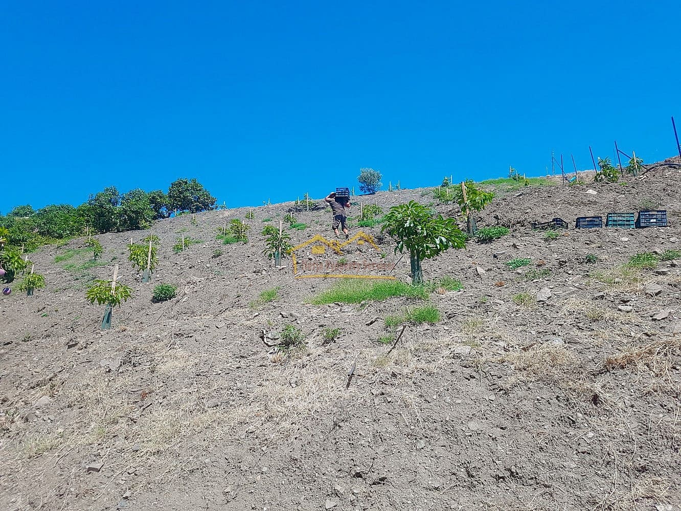 Grunde uden byggetilladelser til salg i Torrox - € 45.000 (Ref: 8183134)