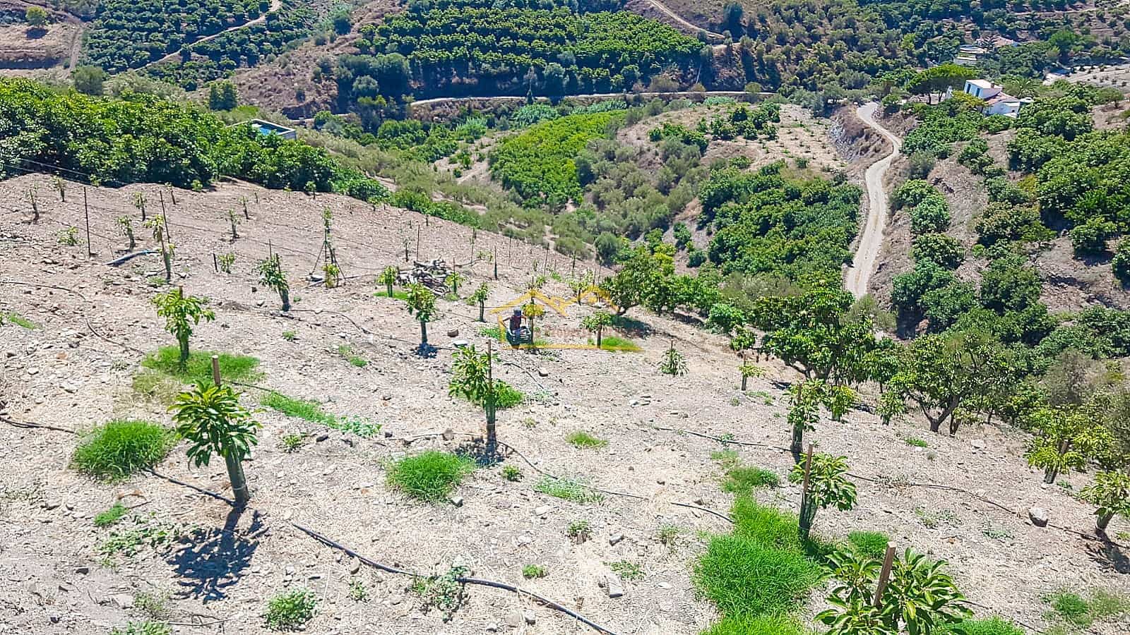 Grunde uden byggetilladelser til salg i Torrox - € 45.000 (Ref: 8183134)