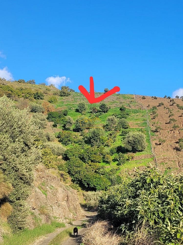 Grunde uden byggetilladelser til salg i Torrox - € 45.000 (Ref: 8183134)