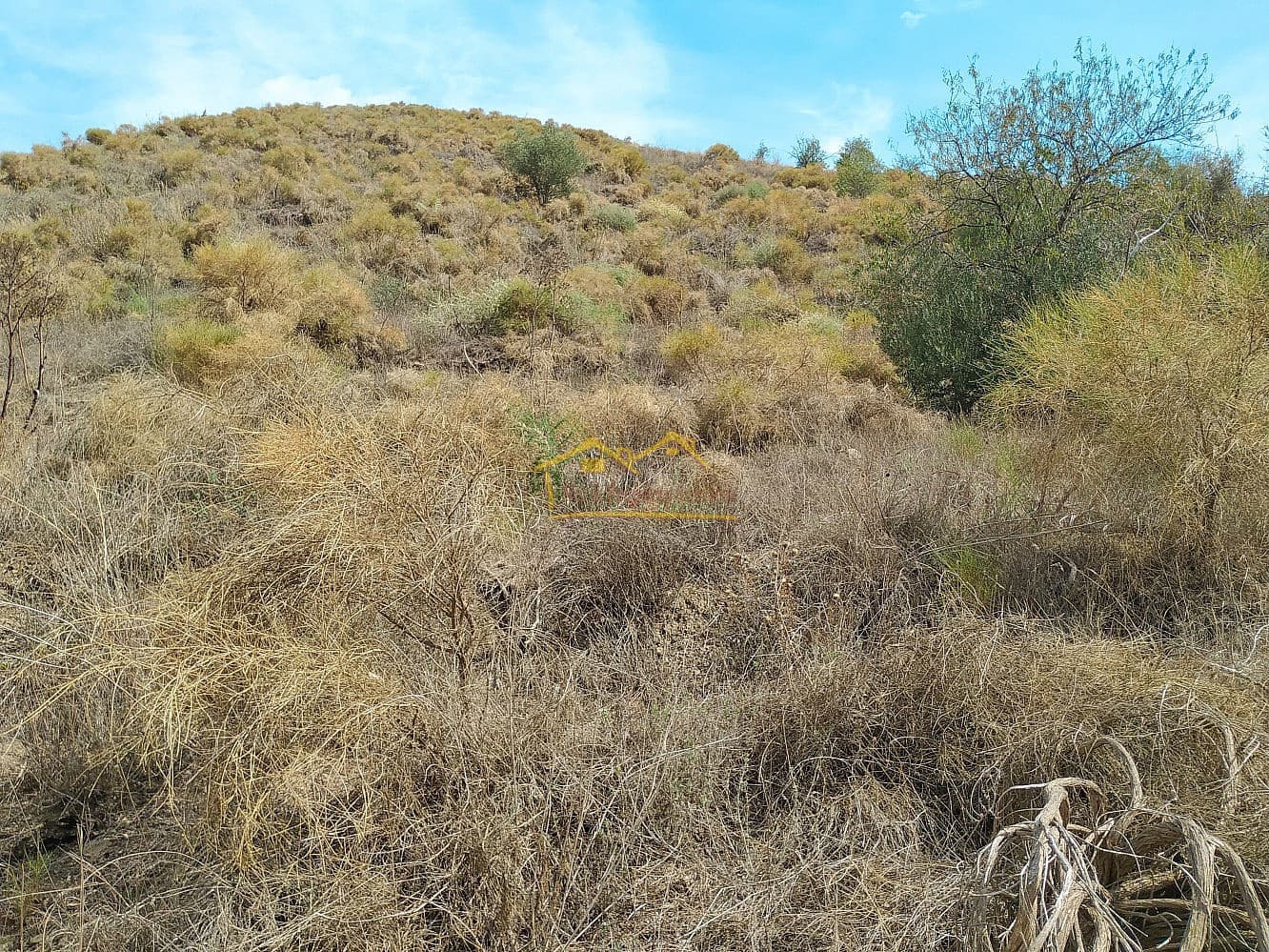 Grunde uden byggetilladelser til salg i Frigiliana - € 215.000 (Ref: 8754777)