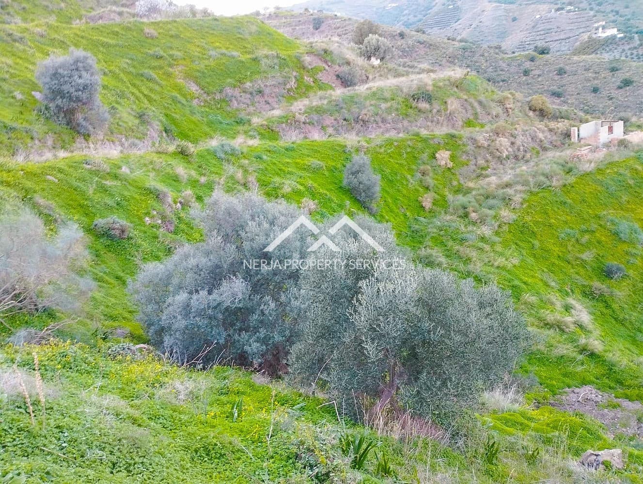 Grunde uden byggetilladelser til salg i Torrox - € 180.000 (Ref: 8826415)