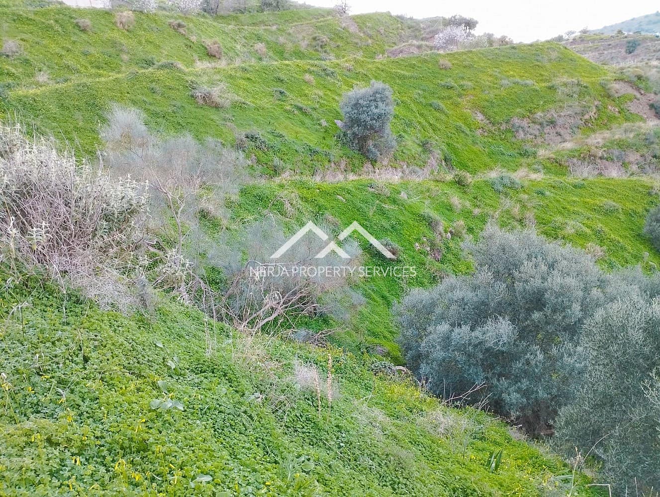 Grunde uden byggetilladelser til salg i Torrox - € 180.000 (Ref: 8826415)